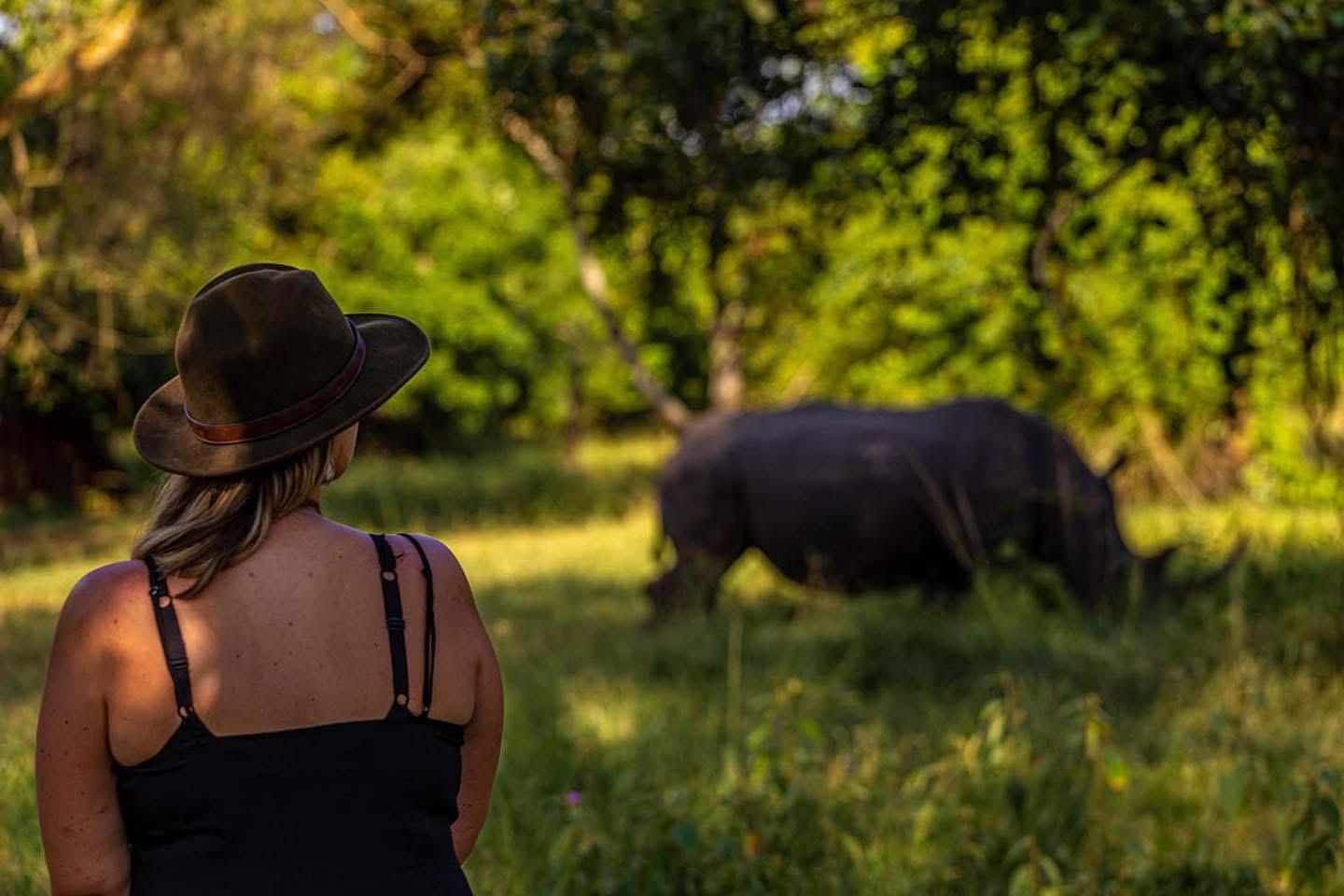 Discover the Incredible Wildlife of East Africa: A Safari Adventure