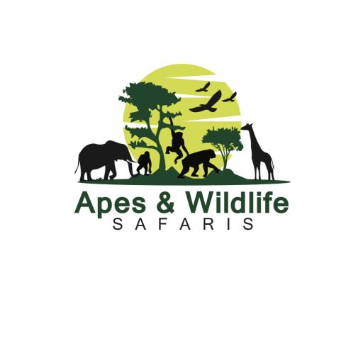 Apes & Wildlife Safaris – Gorilla Trekking & Safari Tours Africa