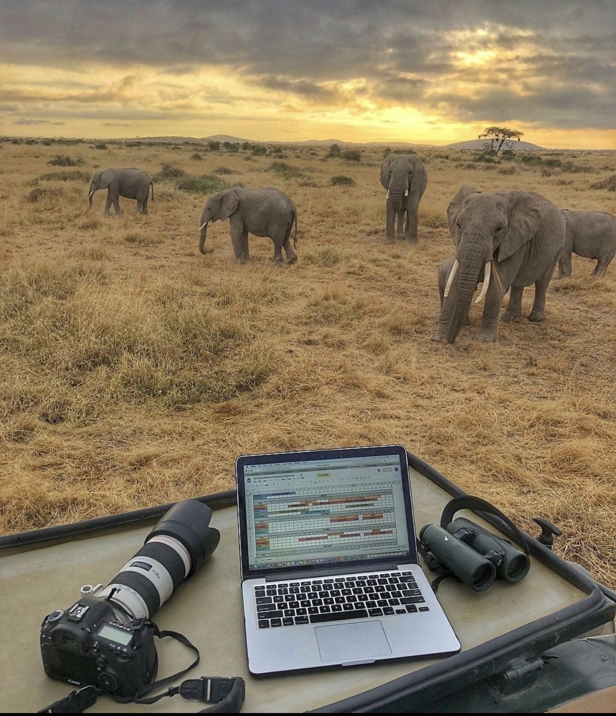 Uganda family safari with children