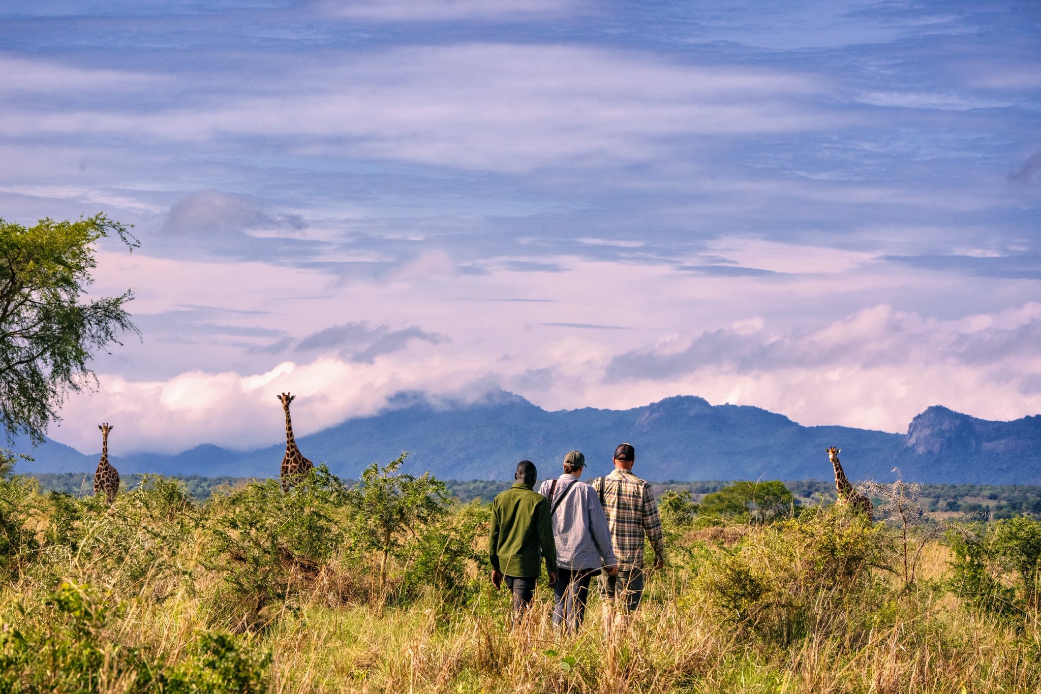 14-day Zanzibar and Tanzania thrilling vacation