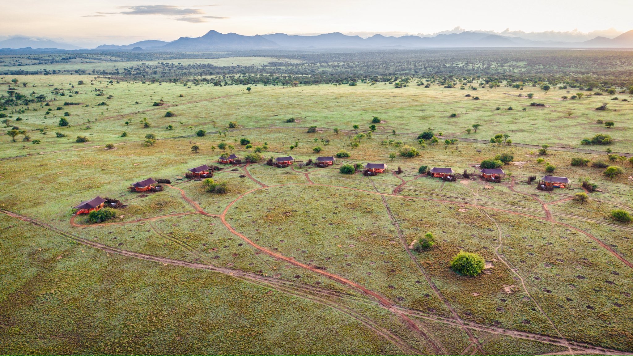 15-day Botswana safari and Uganda gorilla trek