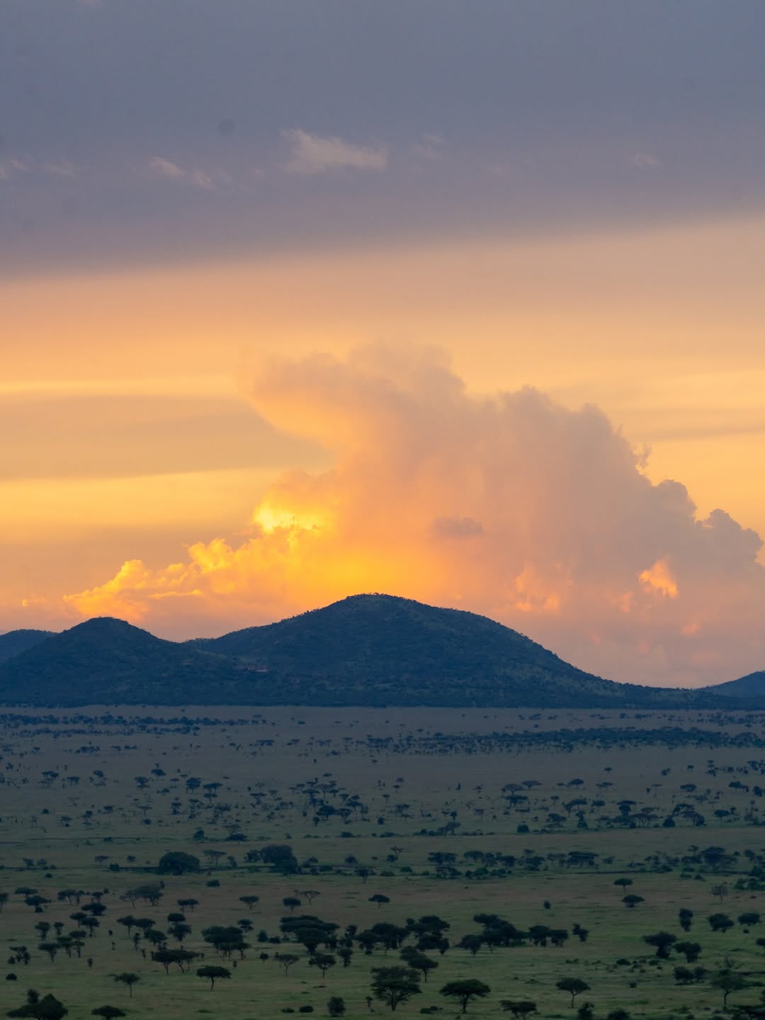 7-day Botswana safari Kalahari and Okavango Delta